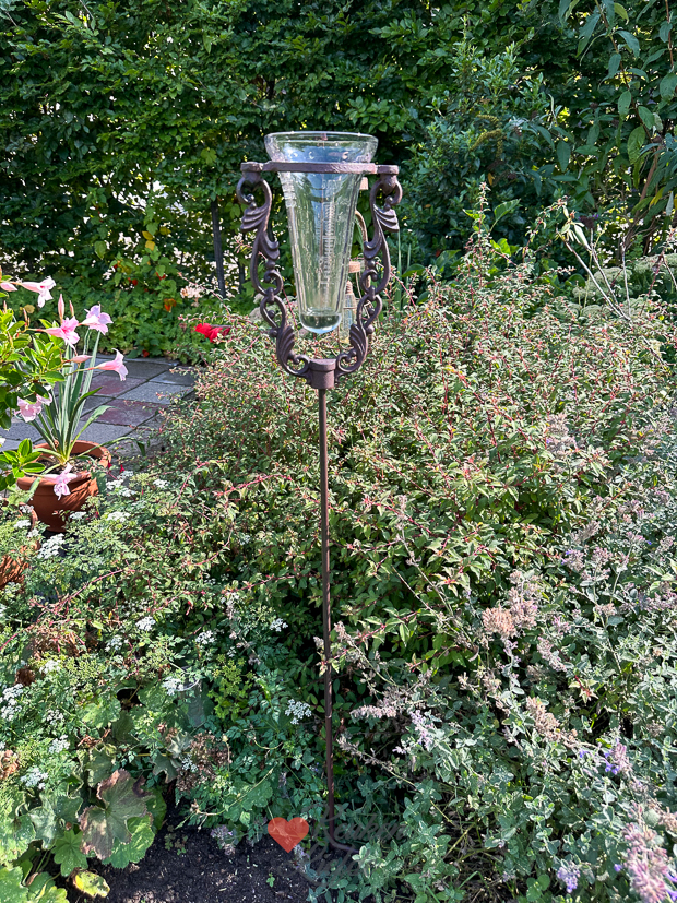 Een kijkje in de keuken week 35-2023