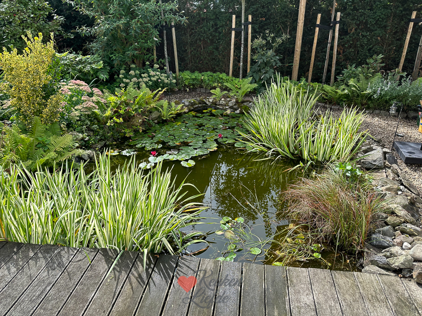 Een kijkje in de keuken week 36-2023