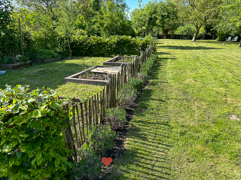 Een kijkje in de keuken week 20 2024