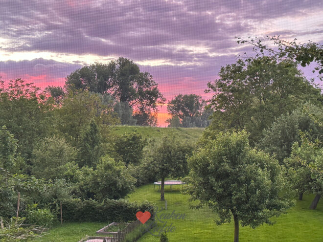 Een kijkje in de keuken week 22 2024