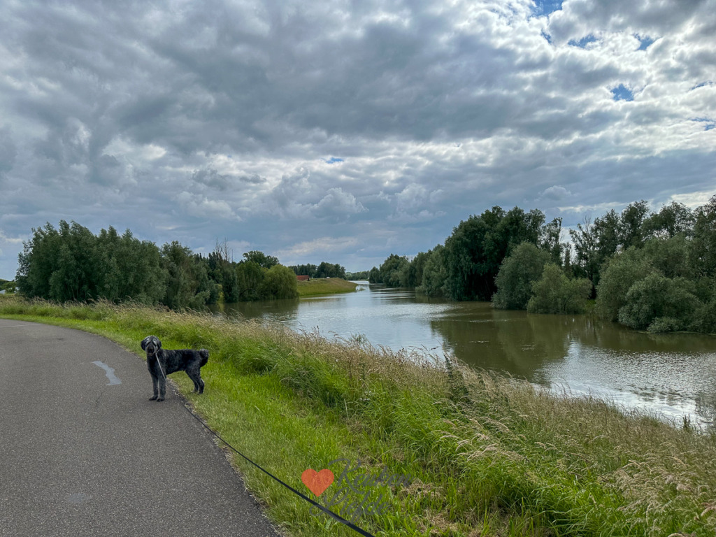 Een kijkje in de keuken week 24 2024