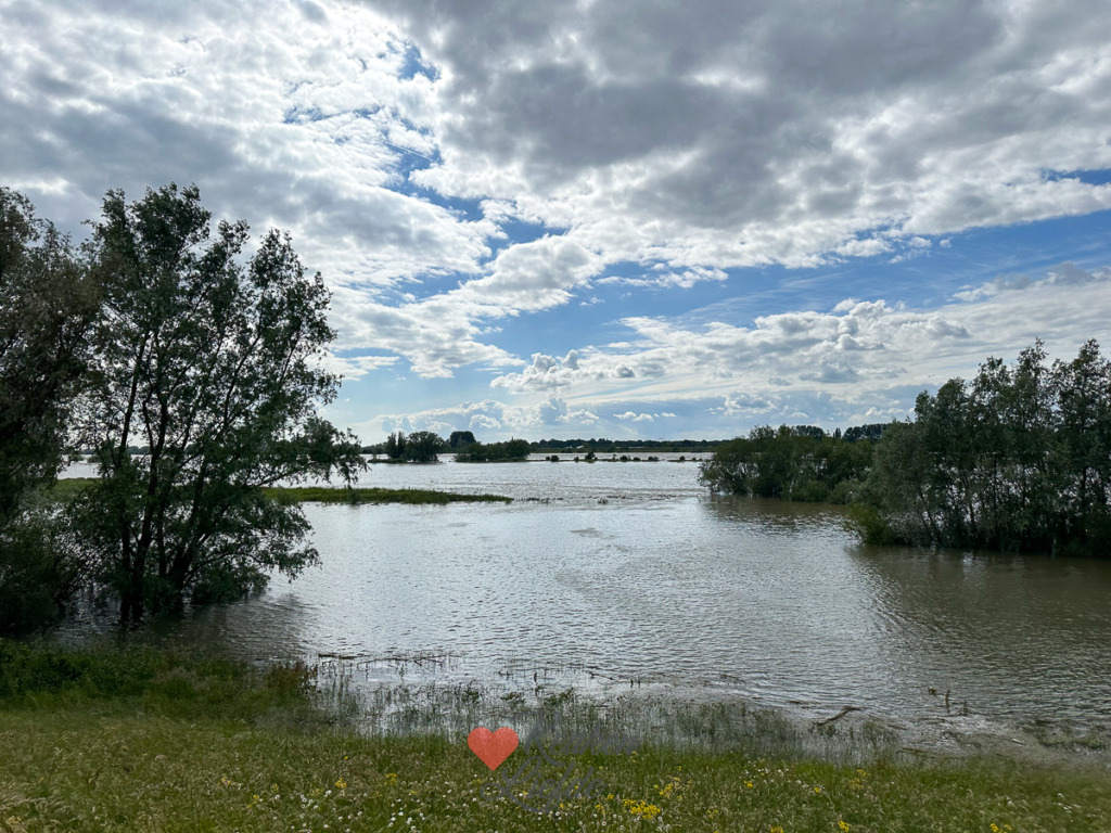 Een kijkje in de keuken week 24 2024