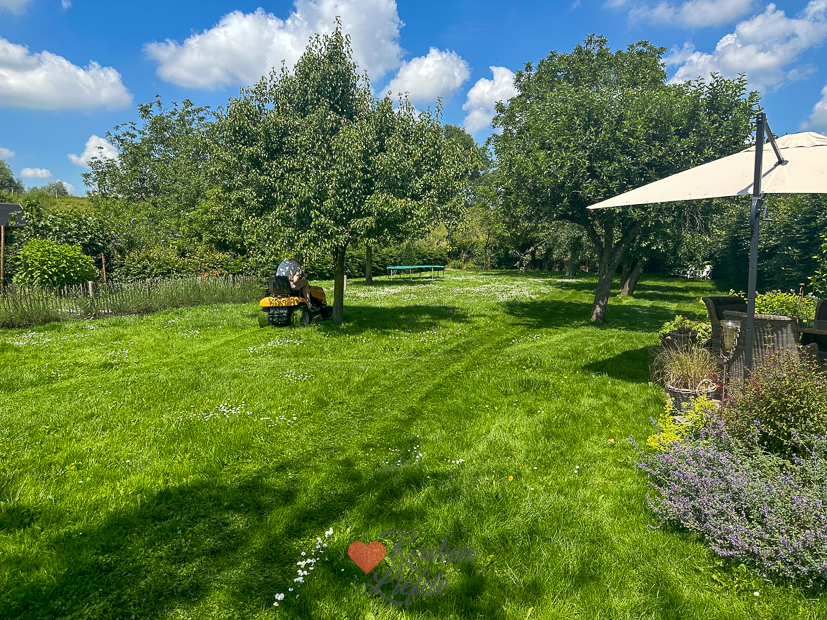 Een kijkje in de keuken week 26 2024