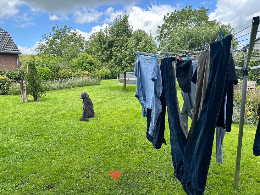 Een kijkje in de keuken week 28 2024