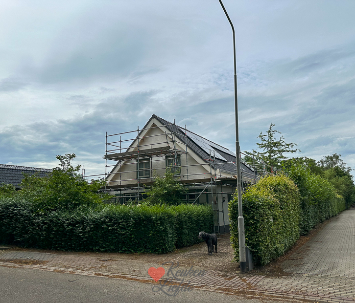 Een kijkje in de keuken week 28 2024