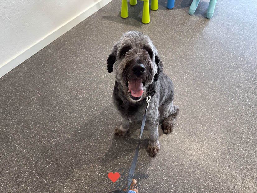 Een kijkje in de keuken week 41 2024