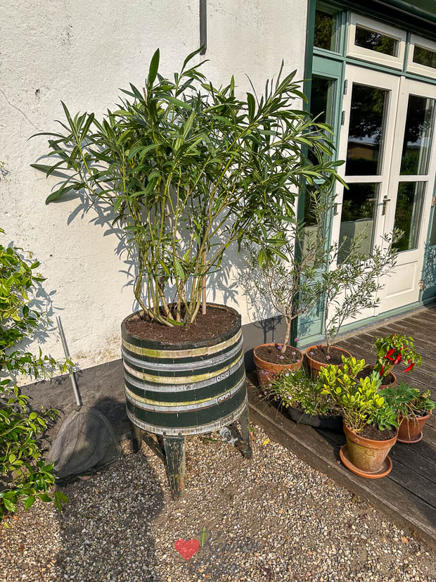 Wastobbe van mijn oma