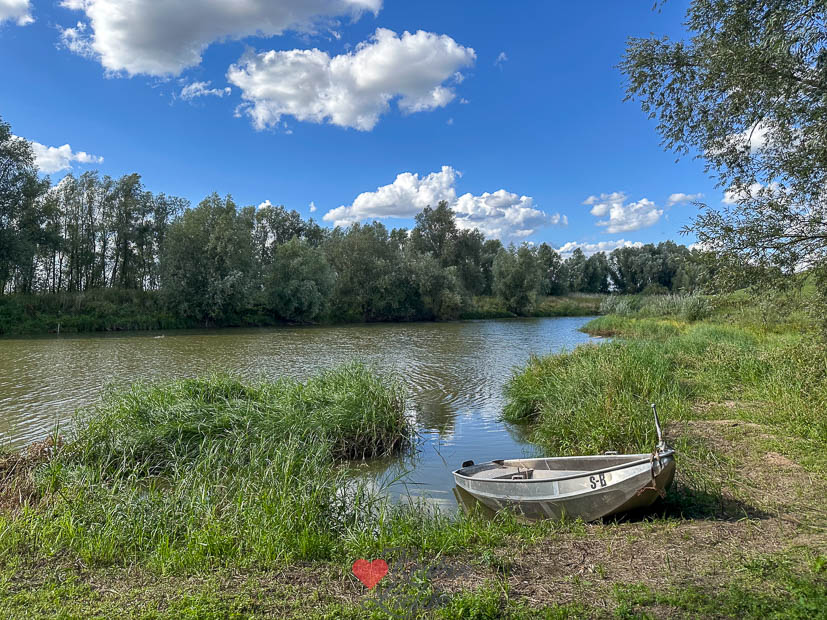 Uiterwaarden Dreumel