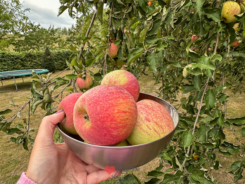 Appels uit eigen tuin