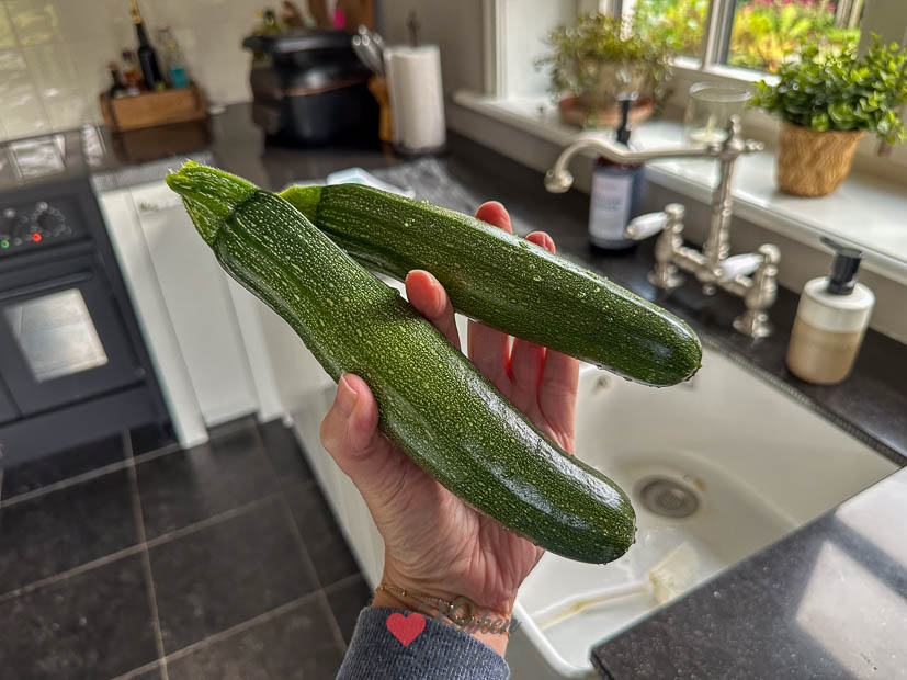 Courgette oogst uit de moestuin
