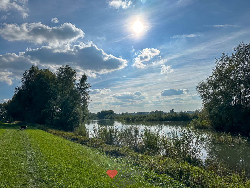 Een kijkje in de keuken week 39 2025