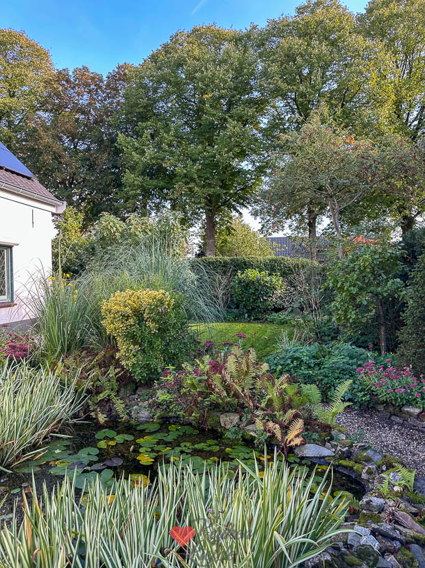 Herfst in de zijtuin