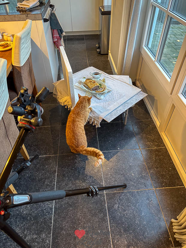 Puk de kater aast op de beef wellington