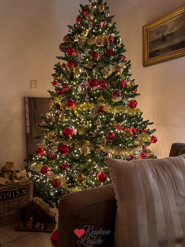 Onze kerstboom