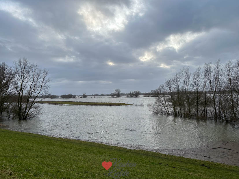 Het water in de Waal staat weer hoog